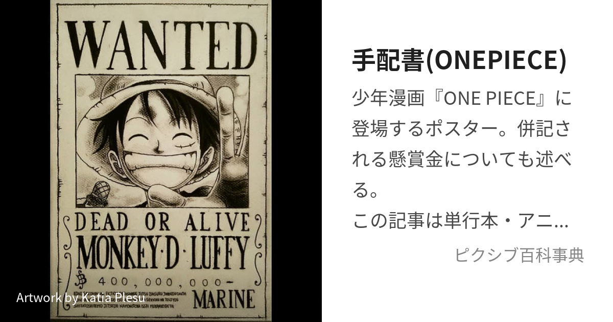 手配書(ONEPIECE) (わんぴーすのてはいしょ)とは【ピクシブ百科事典】