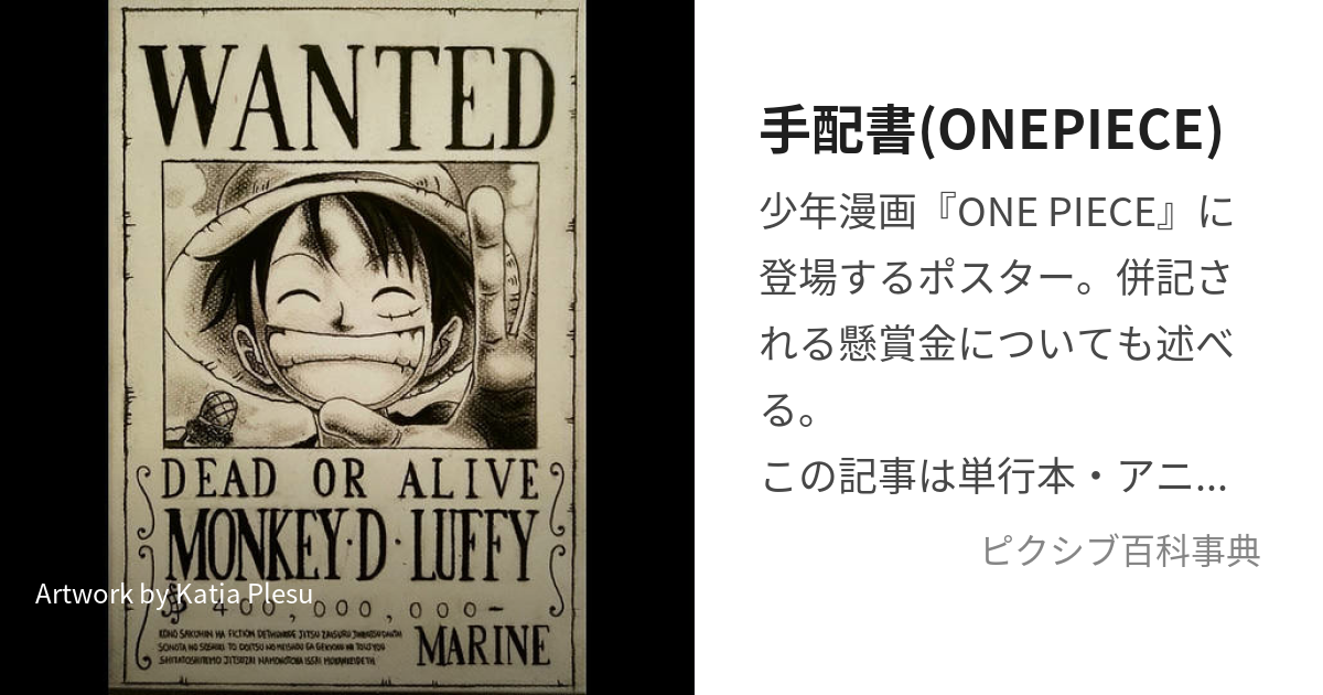 手配書(ONEPIECE) (わんぴーすのてはいしょ)とは【ピクシブ百科事典】