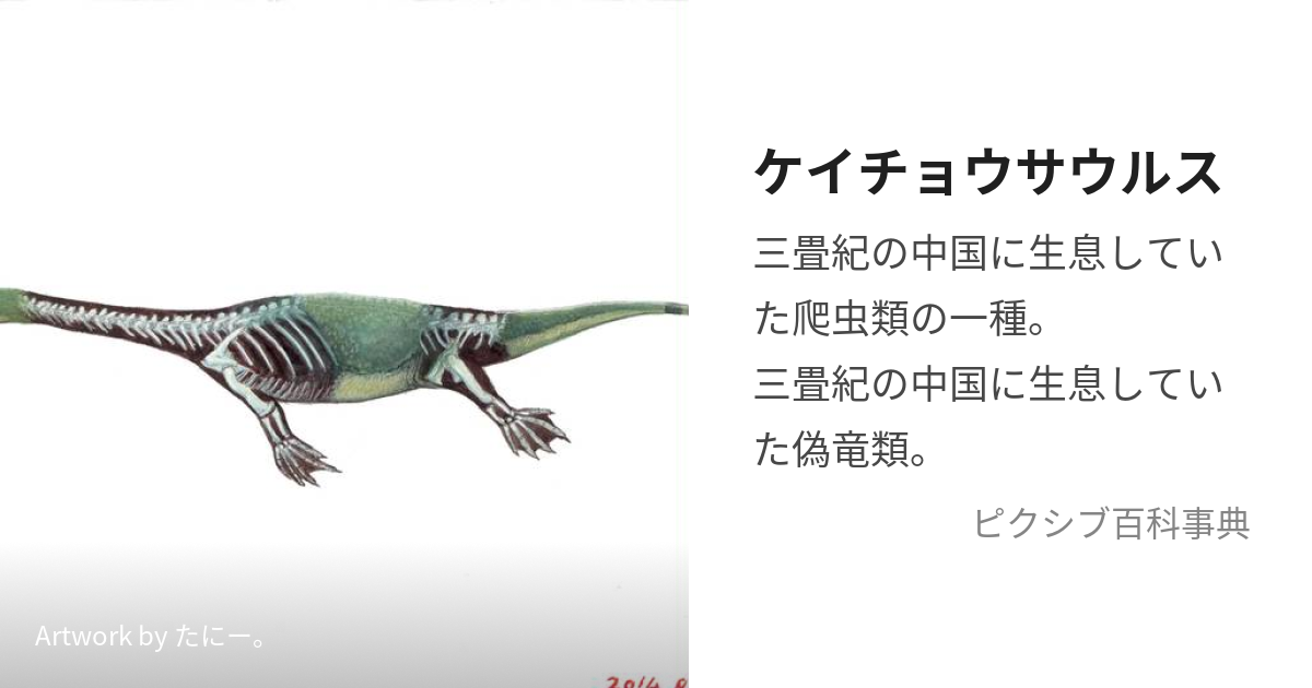 貴州竜 ケイチョウサウルス。化石 二匹の化石 - インテリア小物