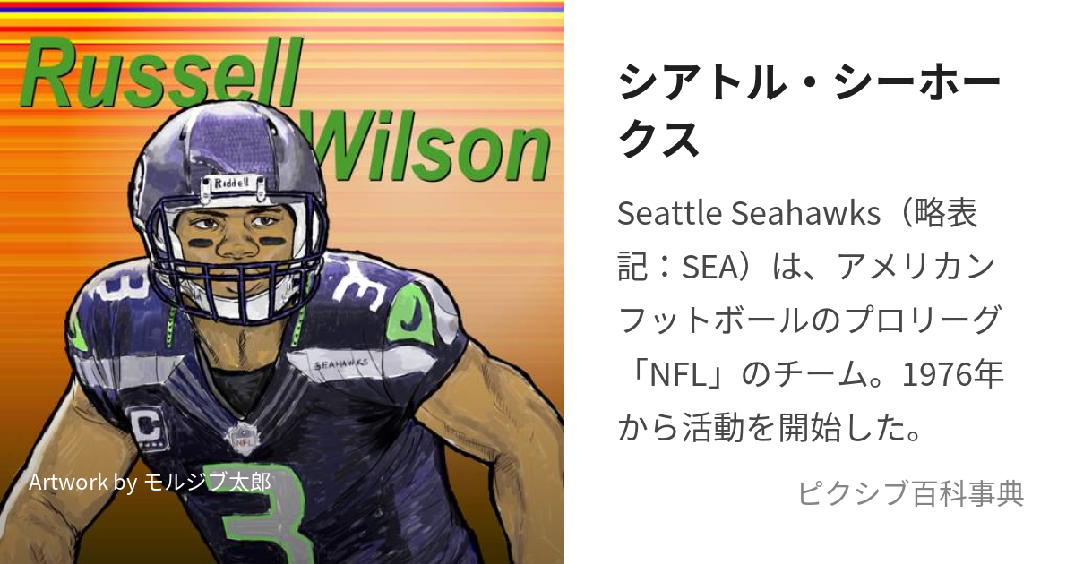 NFL シアトル・シーホークス 易しく Seattle Seahawks Jersey