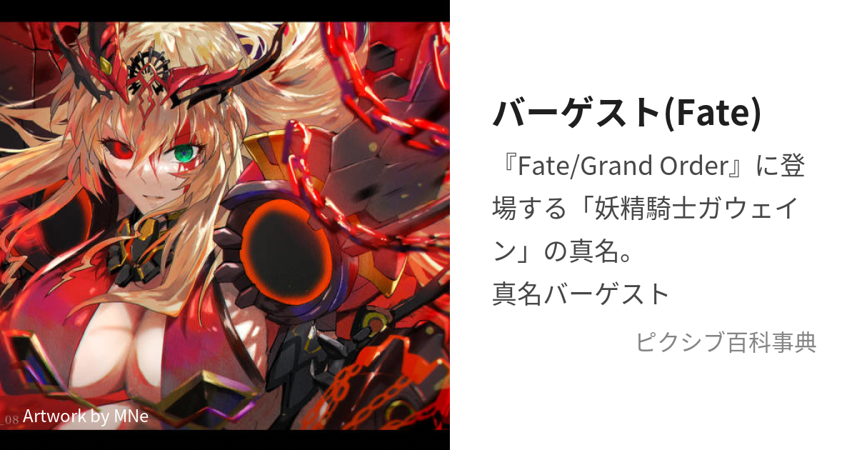 バーゲスト(Fate) (ばーげすと)とは【ピクシブ百科事典】