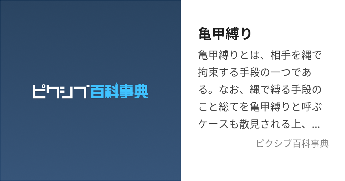 亀甲縛り (きっこうしばり)とは【ピクシブ百科事典】