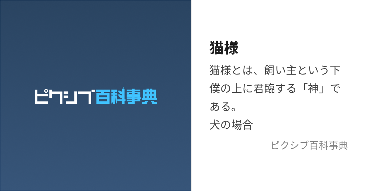 ねこさま 平たい 確認用 売買されたオークション情報 落札价格 【au payマーケット】の商品情報をアーカイブ公開