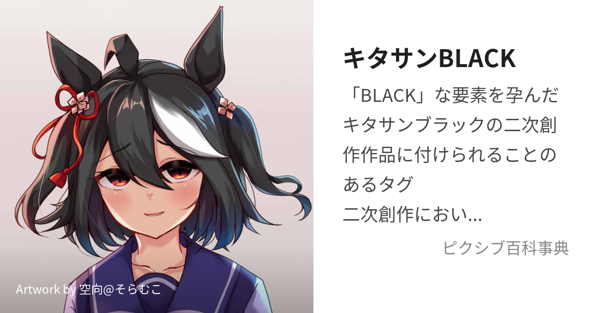 キタサンBLACK (きたさんぶらっく)とは【ピクシブ百科事典】