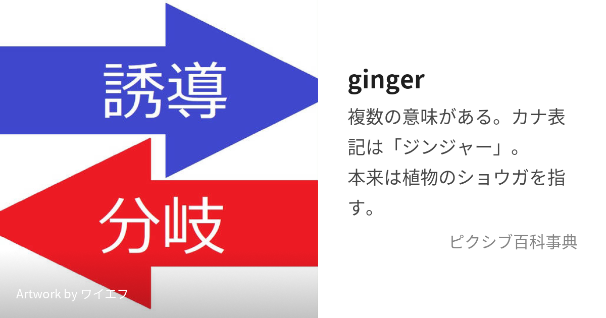 ginger様♡ | mpslsw.gov.zw