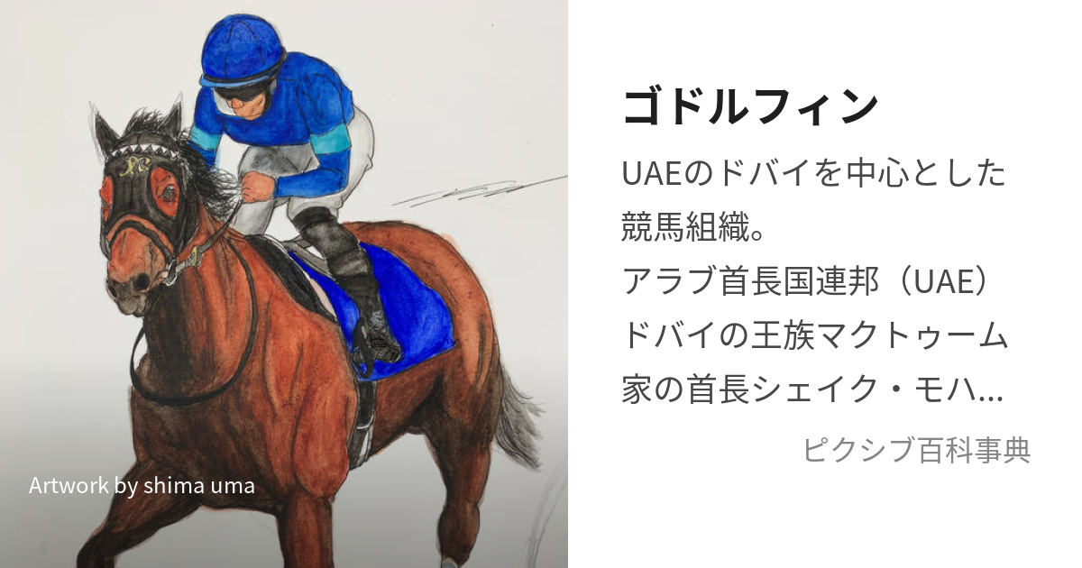 入手困難】チームゴドルフィン ベスト 競馬 ジャンパー - その他