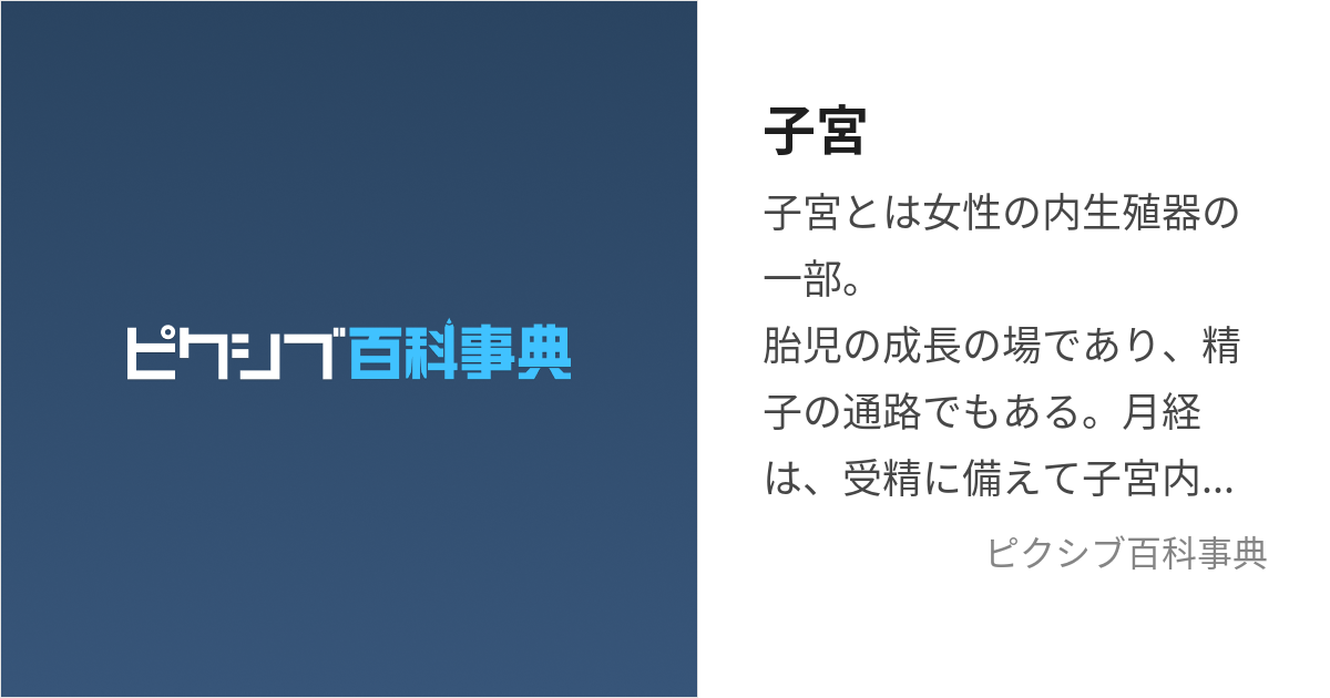 子宮 (しきゅう)とは【ピクシブ百科事典】