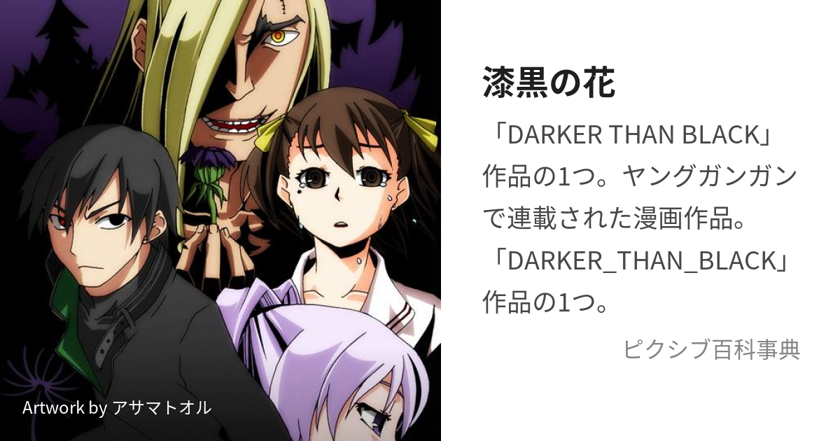 Darker than Black 漆黒の花 3 (Darker than Black: Jet Black Flower