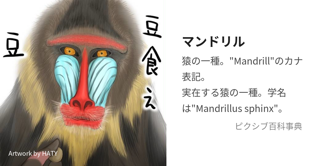 高評価お得 マンドリル カラフルアート | www.happychild.co