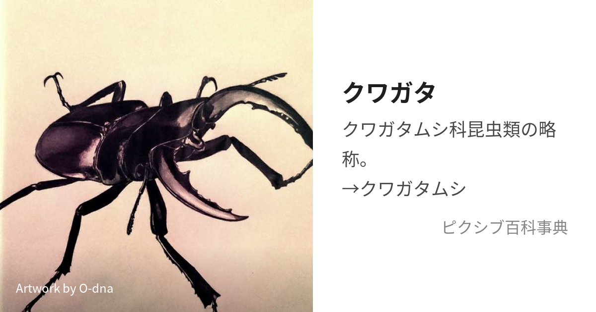 昆虫キャラクター大百科/カンゼン/ぽにーてーる2005年12月